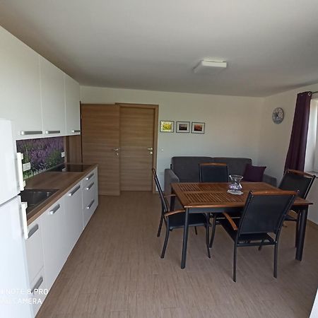 Summer Delight Apartments Savudrija Extérieur photo