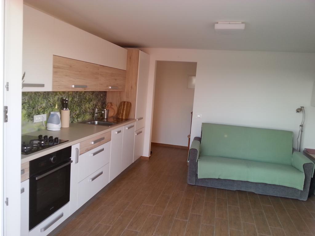 Summer Delight Apartments Savudrija Extérieur photo