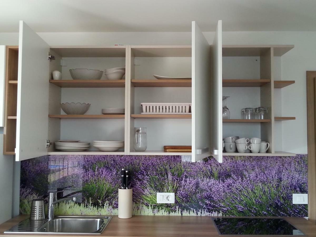 Summer Delight Apartments Savudrija Extérieur photo